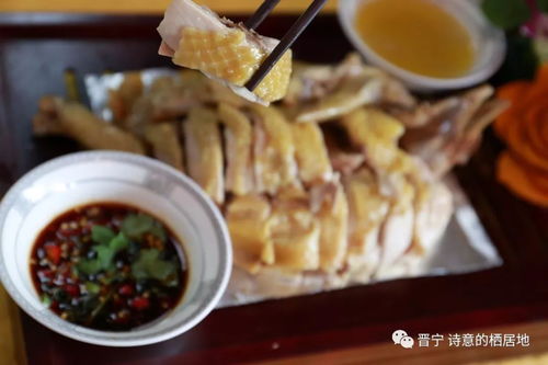 美食響當(dāng)當(dāng) 伊品清真土涼雞